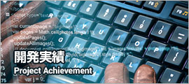 開発実績